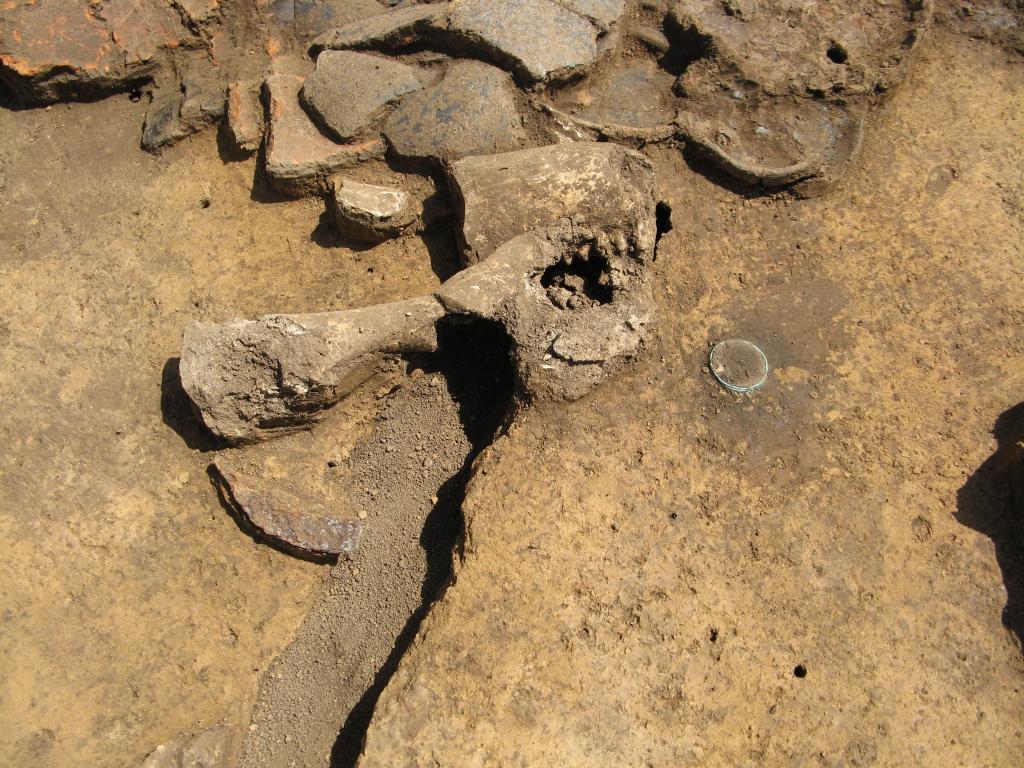 Hrob H 3 - uprostřed zvířecí kosti, vpravo od nich bronzový kroužek a kolem něj několik korálků. Před kostmi částečně poškozený železný nožík.